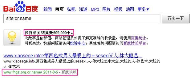 如何优化.net网站的关键词？常见问题有哪些解决方法？