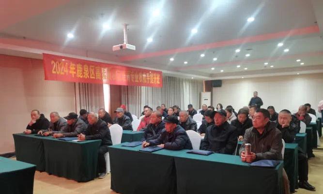 鹿泉网站如何做推广？有哪些有效的推广策略？