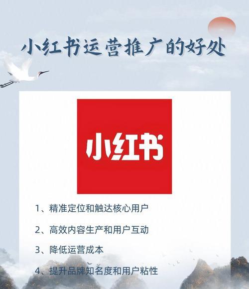 如何有效利用小红书进行网站推广？常见问题有哪些？