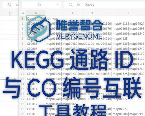 kegg网站如何进行通路分析？分析过程中常见问题有哪些？