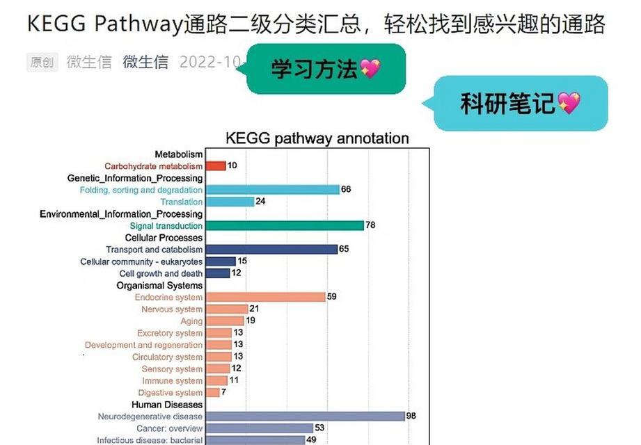kegg网站如何进行通路分析？分析过程中常见问题有哪些？