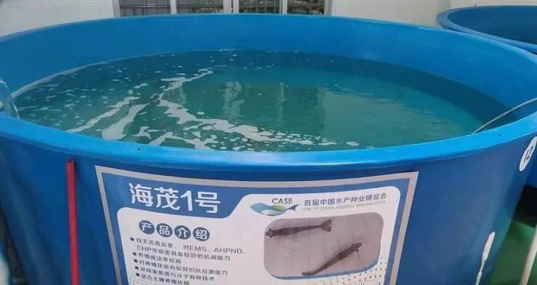 如何找黑鱼资源网站推广？有效推广策略有哪些？