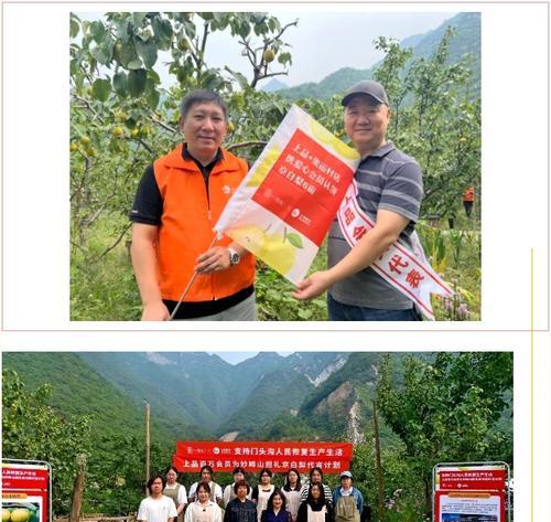 门头沟新网站推广方法有哪些？如何提高网站流量？