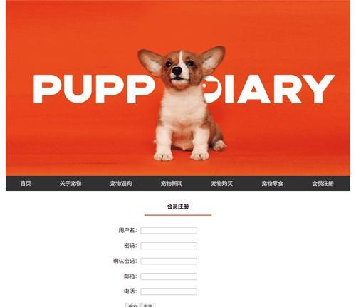 HTML网站素材有哪些？如何选择适合的素材？