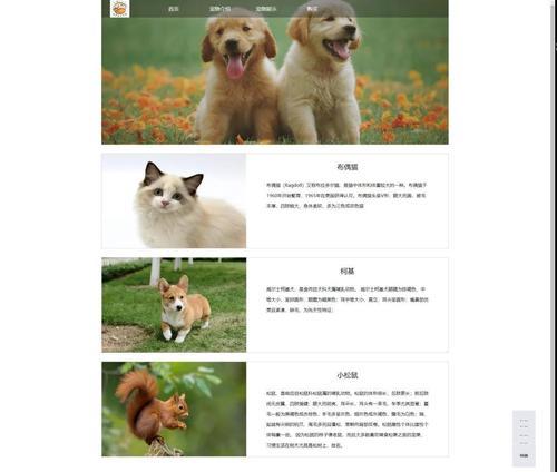 HTML成对标签有哪些？如何正确使用它们？