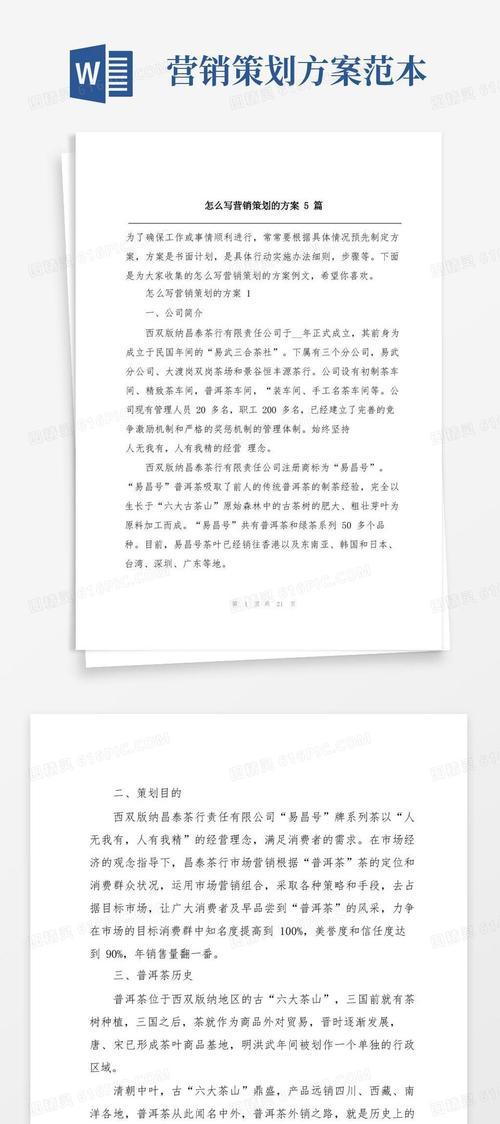 网站的营销策划怎么写？如何制定有效的营销策略？