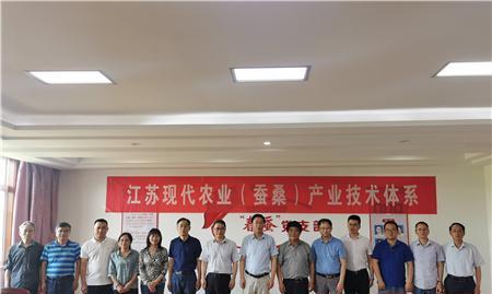 溧阳市免费网站推广如何进行？有哪些有效方法？