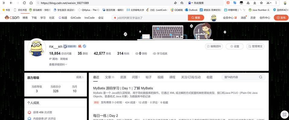 域名解析后如何正确设置网站？常见问题有哪些？
