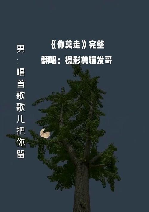 抖音热榜民族歌剪辑版怎么弄？制作步骤和技巧是什么？