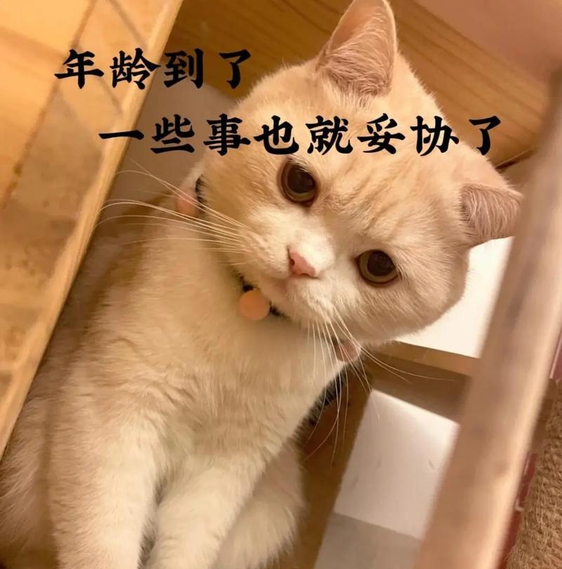 抖音妥协怎么剪辑视频？视频剪辑技巧有哪些？
