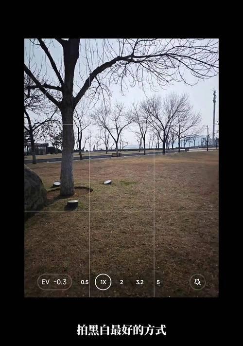抖音照片黑白剪辑技巧？如何快速实现照片黑白效果？