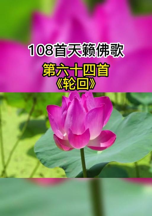 抖音佛歌剪辑怎么弄的视频？视频编辑的步骤和技巧是什么？