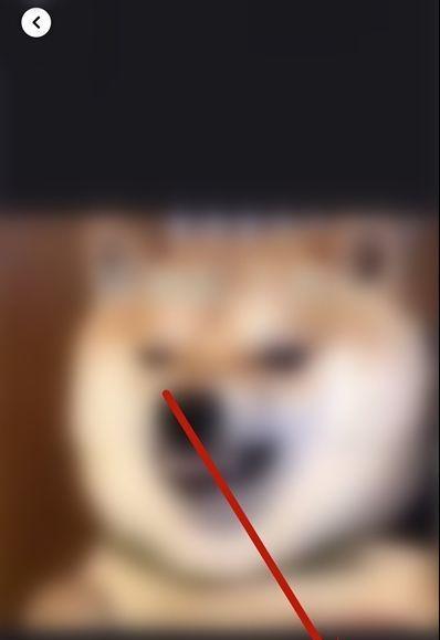 快手旋律怎么玩的视频剪辑？有哪些技巧和步骤？