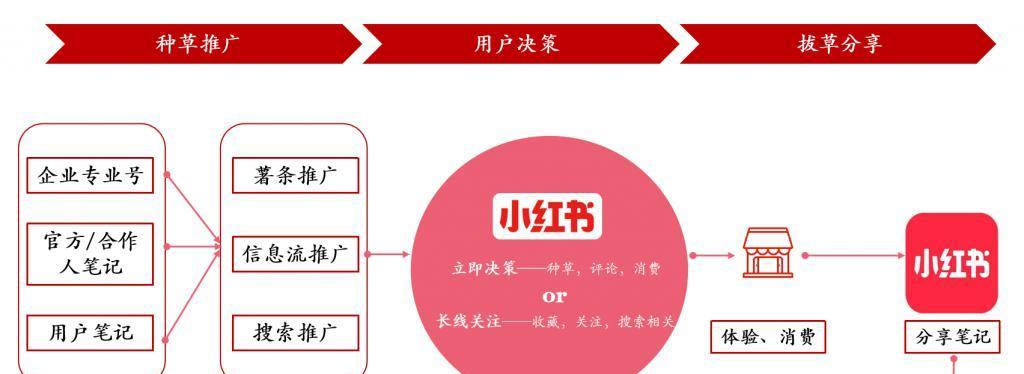 小红书如何做网站推广？有哪些有效策略？