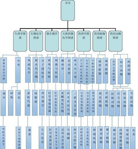 怎么搭建一个架构的网站？需要哪些步骤和注意事项？