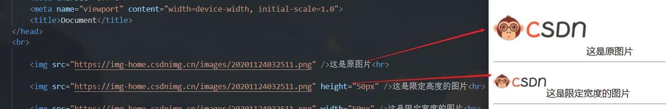 HTML路径有哪些区别？不同路径类型的作用是什么？