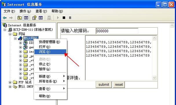 如何在IIS中检查网站域名解析？遇到问题怎么办？