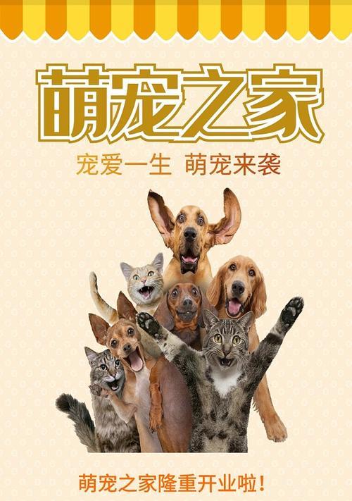 如何推广宠物网站？有效策略和常见问题解答？