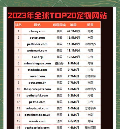宠物网站现状分析怎么写？如何优化提升用户体验？