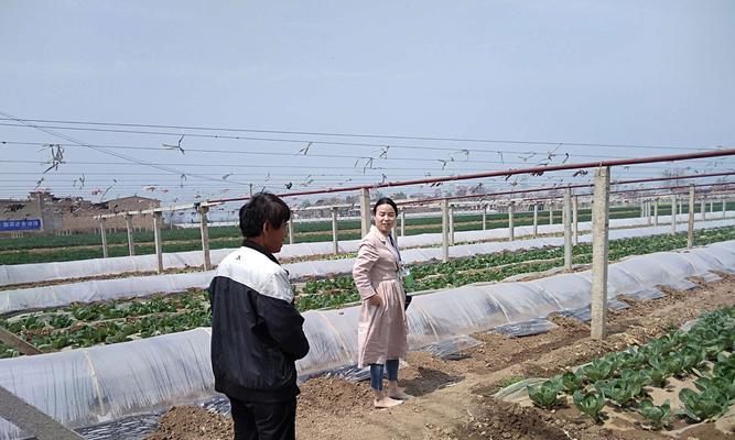 交口网站推广口碑如何？提升网站口碑的有效策略是什么？