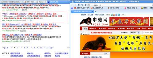 建网站后如何推广赚钱？有哪些有效的方法可以实现盈利？