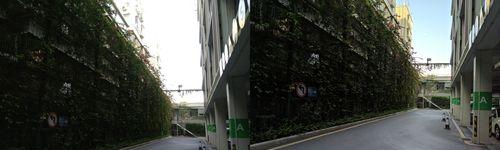苏州谷歌优化效果好吗？如何评估优化成果？