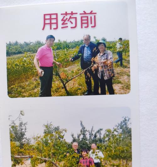 河津公司网站如何做推广？有哪些有效的推广策略？