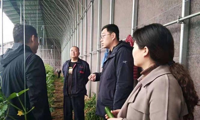 侯马网站营销工资怎么样？从事网站营销的收入水平如何？