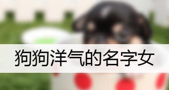 博客网站起名怎么取好听？有哪些创意技巧？