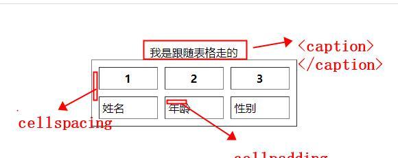 HTML表格标签有哪些？如何使用它们创建表格？