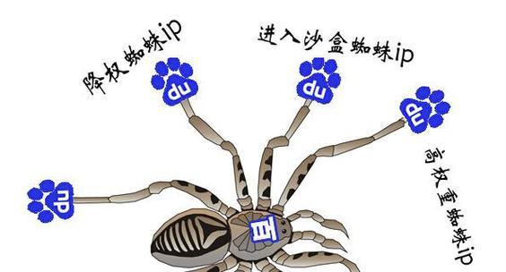 网站被降权了怎么办？如何进行有效的SEO分析？