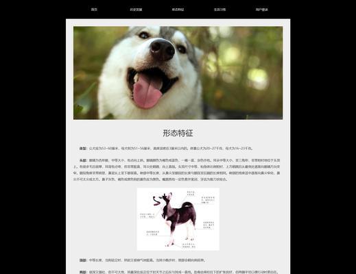 HTML中CSS支持哪些字体？如何选择合适的字体？