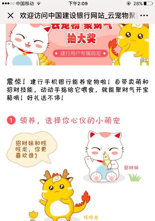 宠物网站如何推广？有效策略和常见问题解答？