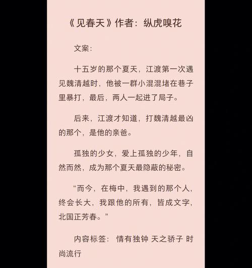 小说网站审美特点分析怎么写？如何提升阅读体验？