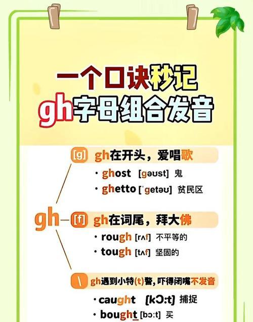 HTML标签必须背诵吗？哪些标签对初学者最重要？
