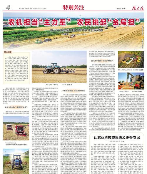 庆阳网站如何推广？有哪些有效的推广策略？