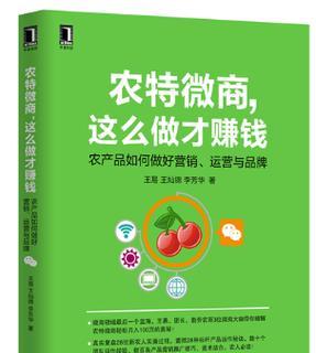 网站营销怎么赚钱？有哪些有效策略实现盈利？