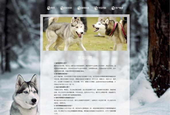 网站设计内容布局分析怎么写？如何优化用户体验？