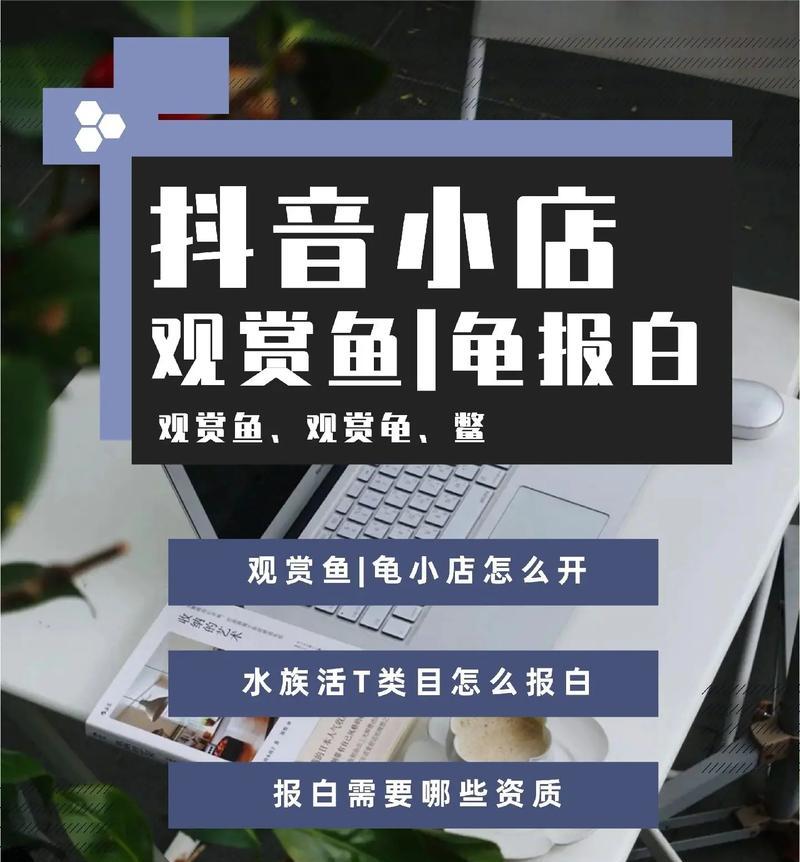 抖音行走的鱼视频剪辑技巧是什么？如何快速掌握剪辑方法？