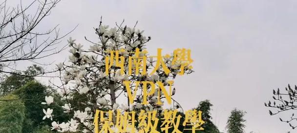 北碚短视频优化怎么做？如何提升短视频在北碚的曝光率？