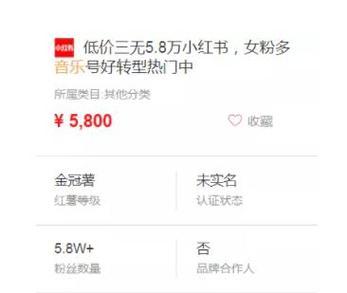 小红书剪辑动漫如何赚钱？有哪些盈利方式？