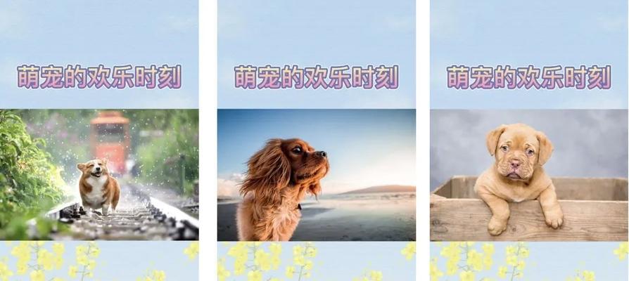 抖音剪辑怎么标注物品尺寸