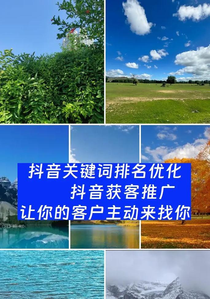 2024抖音关键词趋势：内容优化与策略指南