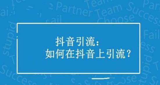 山东seo查询怎么引流？有哪些有效方法？
