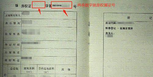 白城seo查询是什么？如何进行有效的SEO查询？