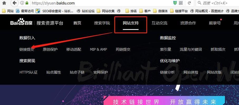 如何在SEO综合查询中取消订阅？遇到问题如何解决？