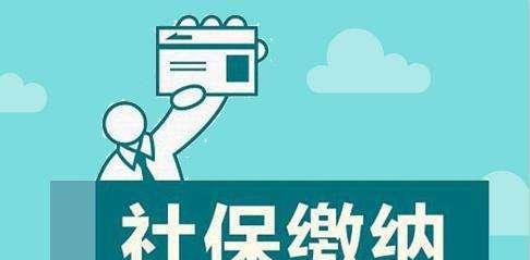 松原seo查询是什么？如何使用松原seo查询工具？