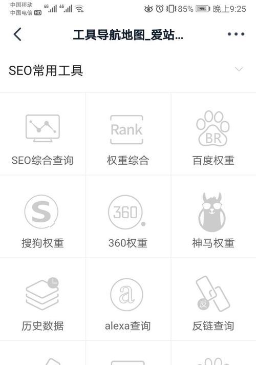 如何进行SEO综合查询？SEO综合查询的步骤和技巧是什么？
