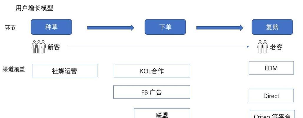 如何通过推广案例选择合适的SEO和PPC策略？