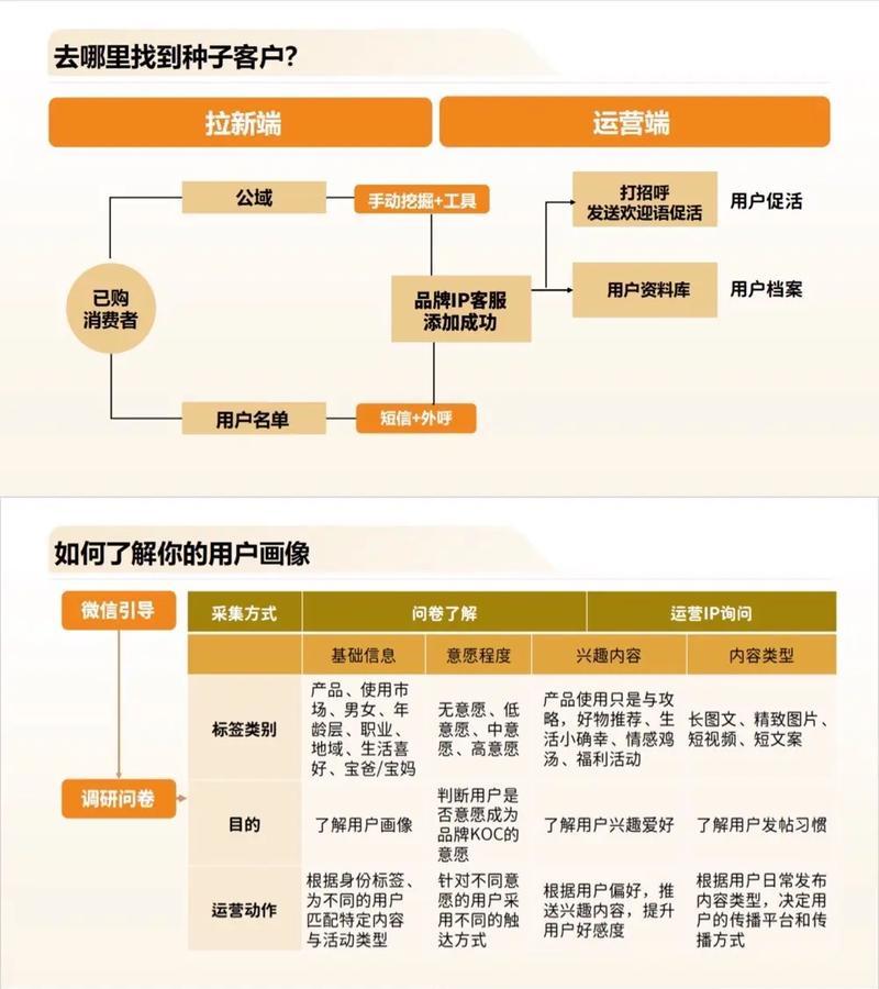 8个问题助力营销型网站建设（从用户体验到流量获取，掌握关键要点打造成功网站）